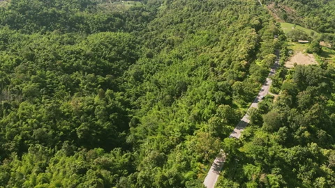 4K Video Aerial shot car drive in the road in the green forest of thailand. Stock Footage 204772953