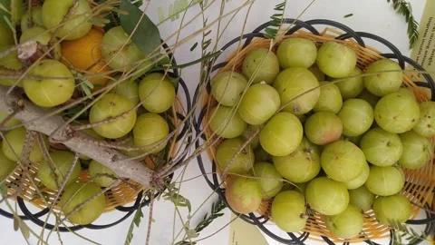4K Video of Amla  fruit. 스톡 동영상 294582996