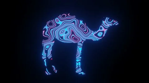 4K video animation of beautiful texture or pattern formation on the camel body. Stock Footage 139949966