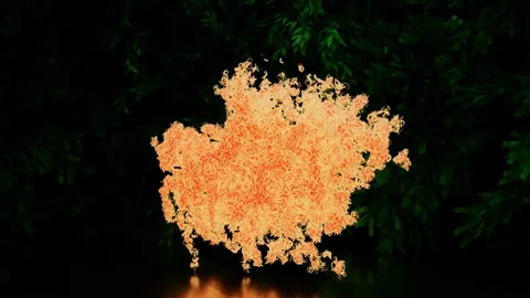 4K video animation of sci-fi bright orange deer getting converted into a tiger. Stock Footage 229995457