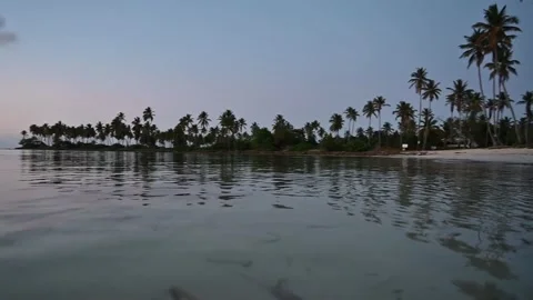 4K video of atlantic ocean in evening tropical plants perspective Stock Footage 170584613