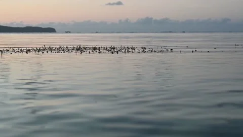 4K video of atlantic oceancoast in evening time Stock Footage 170584363