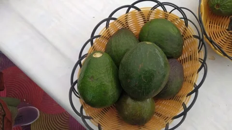 4K Video of Avocado  fruit. Stock Footage 294582941
