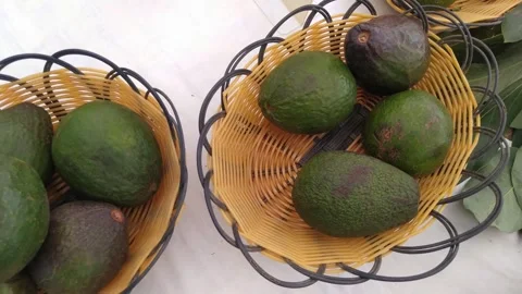 4K Video of Avocado  fruit. Stock Footage 294582946