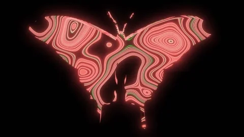 4K video of beautiful red texture or pattern formation on the butterfly shape. Stock Footage 271272709