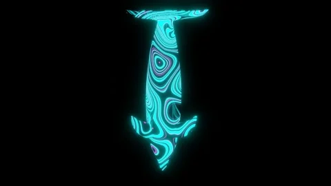 4K video of beautiful texture or pattern formation on the dolphin body shape. Stock Footage 232866557