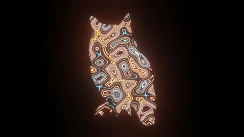 4K video of beautiful texture or pattern formation on the owl body shape. Stock Footage 271273364