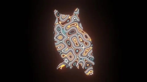 4K video of beautiful texture or pattern formation on the owl body shape. Stock Footage 271273559