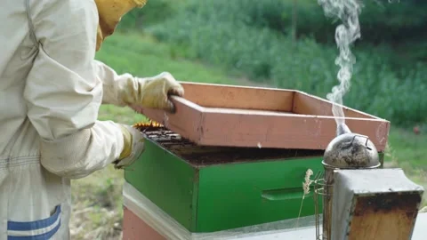 4k video of a beekeeper opens a hive Stock-Footage 155591797