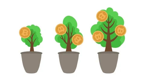 4K video bitcoin Footage with Tree and Bitcoin Illustration on White Screen Stock Footage 288063705