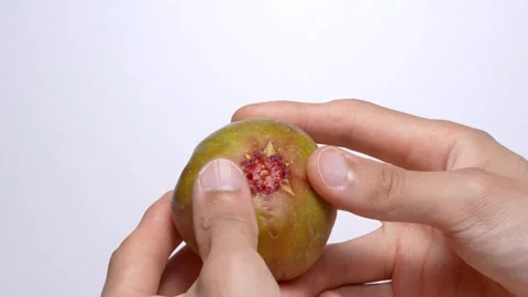 4K video of breaking figs. 스톡 동영상 274520916