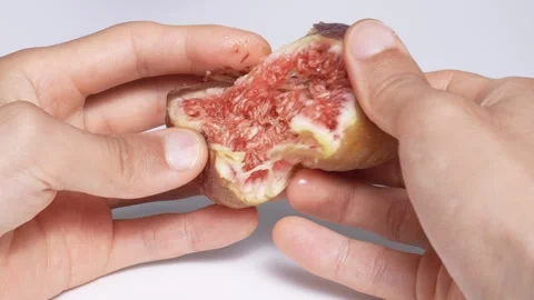 4K video of breaking figs. Stock Footage 275563091