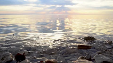4k video. Calm sunset on the river, natural background and front focus Stock Footage 154800595