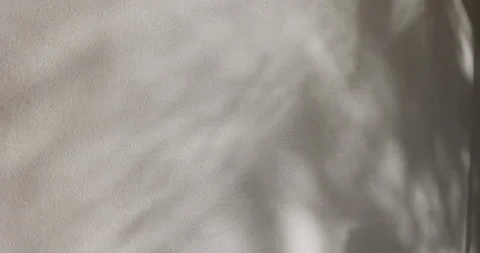 4K video cement clean wall with movement natural shadow. Stock Footage 212073745