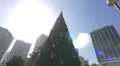4K video with Christmas tree in Miami, Florida 4k or 4k+ Resolution
