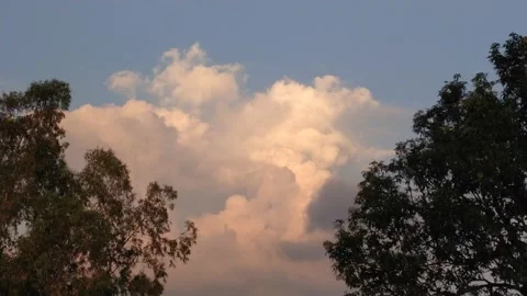 4k Video of clouds with tree also shown in the video. Video stock 138219373