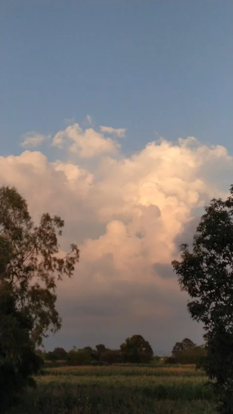4k Video of clouds with tree also shown in the video. Video stock 138219410