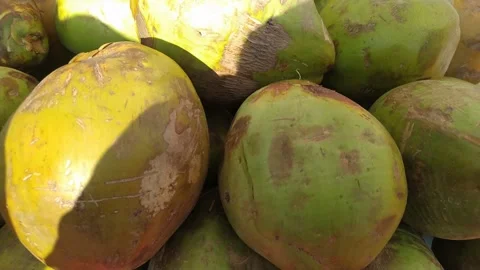 4K Video of coconut. Stock Footage 294700853