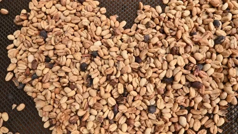 4K video of coffee beans macro roasted coffee granule closeup Stock Footage 171835183