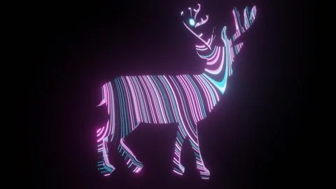 4k video of colorful lining texture or pattern formation on majestic deer shape. Stock Footage 271271981