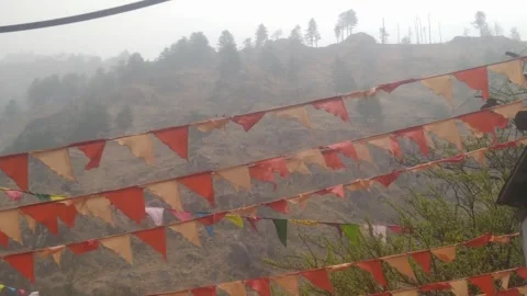 4K Video of colourful flags. Video stock 331700406