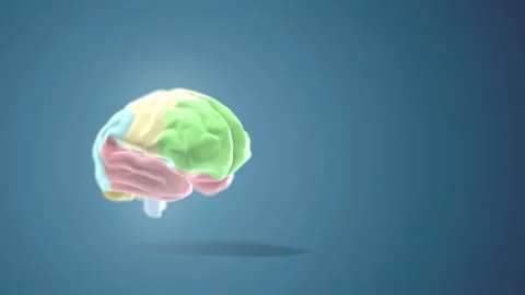 4k video of digital colored human brain on blue background. Stock Footage 160929014