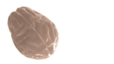 4k video of digital x-ray human brain on white background. Stock Footage 157347624