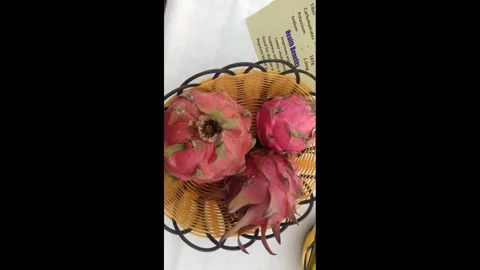 4K Video of Dragon  fruit. Stock Footage 294582942