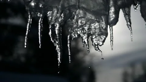 4K video of dripping icicles on a warm bright sunny day. Melting icicle on a Stock Footage 147151565
