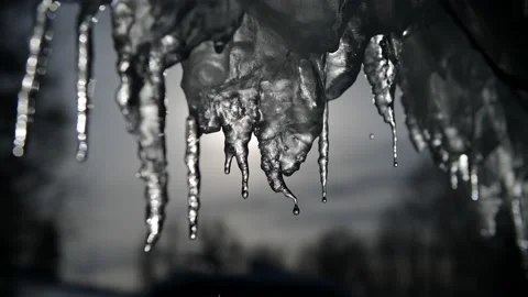 4K video of dripping icicles on a warm bright sunny day. Melting icicle on a Stock Footage 147153762
