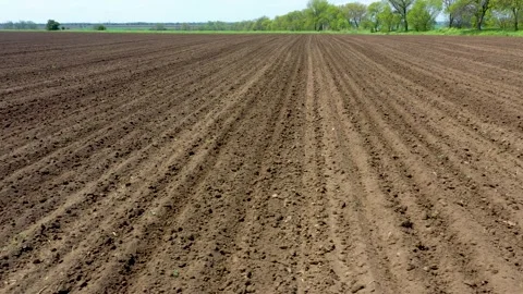 4K video of Drone Flight over a field with strips of plowed land at close range Stock Footage 178935658