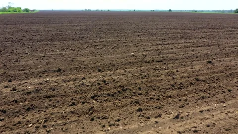 4K video of Drone Flight over a field with strips of plowed land at close range Stock Footage 195656677