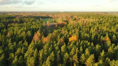 4K video from drone to Monuments at Salaspils Memorial Ensemble. Latvia Video stock 296776063