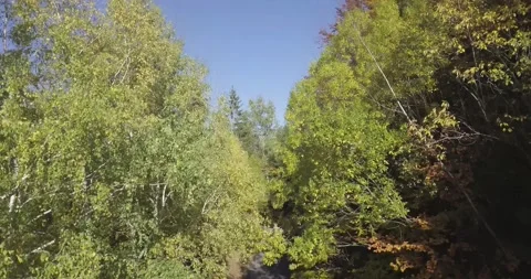 4k video of drone takeoff in the forest Stock Footage 167850867