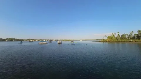 4k video of excursion boats and snorkellers swimming with manatees Stock Footage 307747862