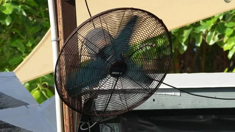 4k video of a fan in an outdoor eatery in Islamorada, Florida, USA Stock Footage 328426853
