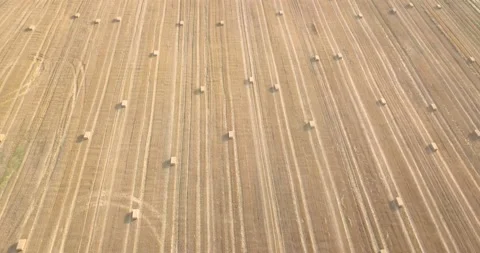 4k video of field 01 Stock Footage 167852270