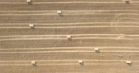 4k video of field 02 Stock Footage 167852216