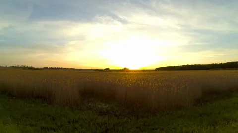 4K!!! video. Field sunset timelapse. Stock Footage 37734648