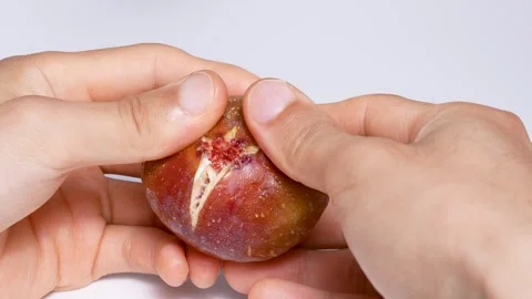 4K video of figs being split in two. Stock Footage 249641885