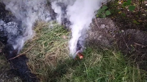 4K Video of fire smog while burning garbage. Stock Footage 245532971