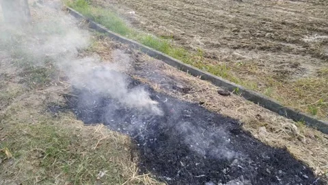 4K video of fire smoke for the field straw. Stock Footage 142885232