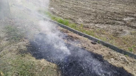4K video of fire smoke for the field straw. Video stock 142885261