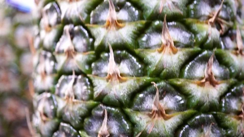 4K Video Video stock 88889686