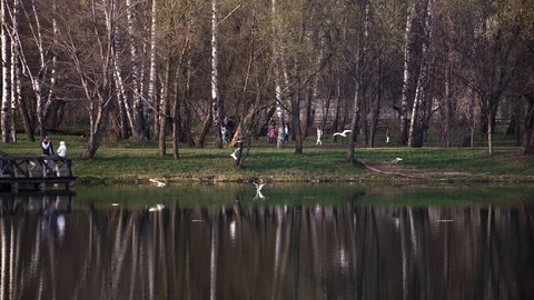 4K Video Stock Footage 89128132