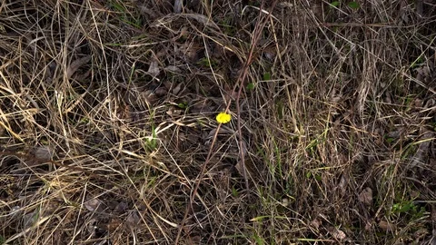 4K Video Video stock 89180288