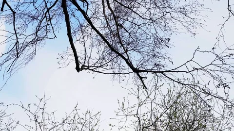 4K Video Stock Footage 89181536