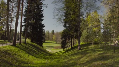 4K Video Stock-Footage 89803729