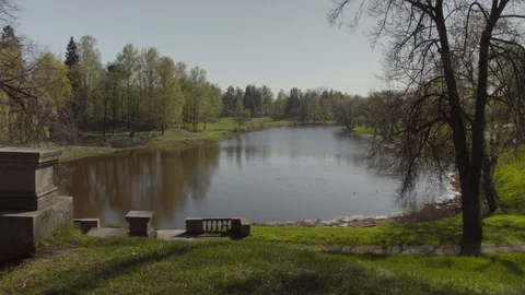 4K Video Stock Footage 89805171