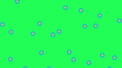 4K video Footage with flowers pattern. Footage flower rain. Flowers falling down Stock Footage 294541056